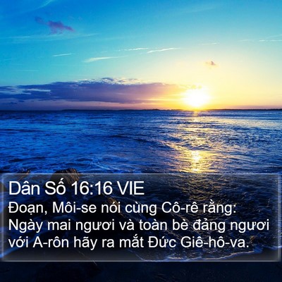 Dân Số 16:16 VIE Bible Verse Image