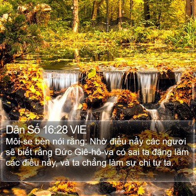 Dân Số 16:28 VIE Bible Verse Image