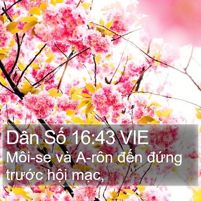Dân Số 16:43 VIE Bible Verse Image