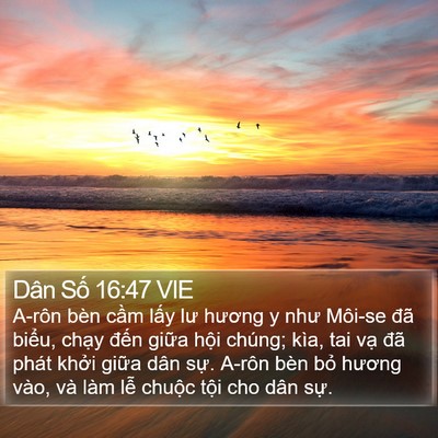 Dân Số 16:47 VIE Bible Verse Image