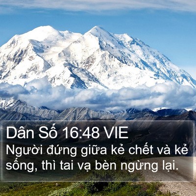 Dân Số 16:48 VIE Bible Verse Image