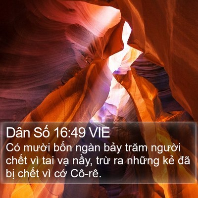Dân Số 16:49 VIE Bible Verse Image