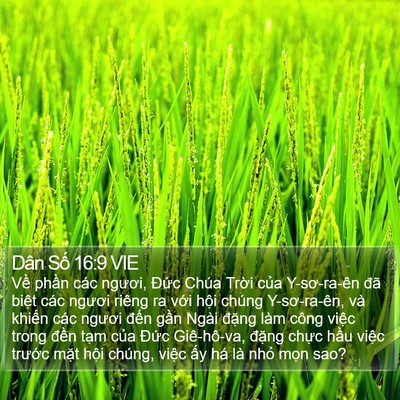 Dân Số 16:9 VIE Bible Verse Image