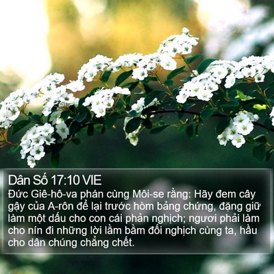 Dân Số 17:10 VIE Bible Verse Image