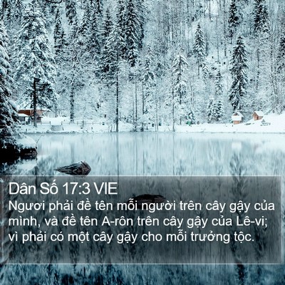 Dân Số 17:3 VIE Bible Verse Image