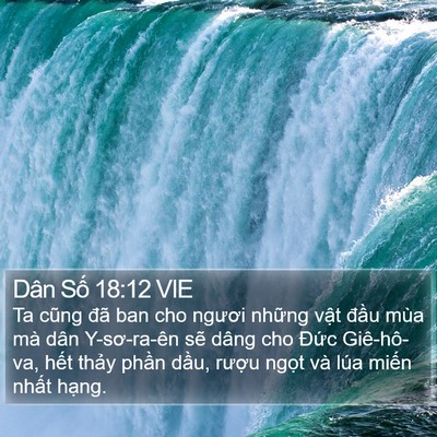 Dân Số 18:12 VIE Bible Verse Image