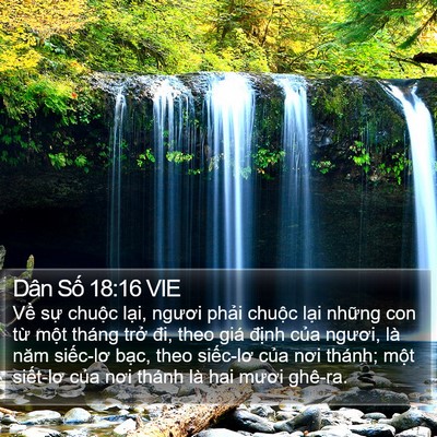 Dân Số 18:16 VIE Bible Verse Image