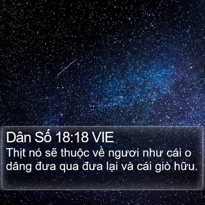 Dân Số 18:18 VIE Bible Verse Image