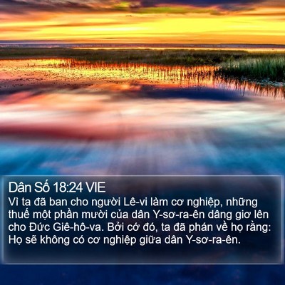 Dân Số 18:24 VIE Bible Verse Image