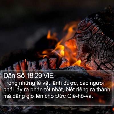 Dân Số 18:29 VIE Bible Verse Image