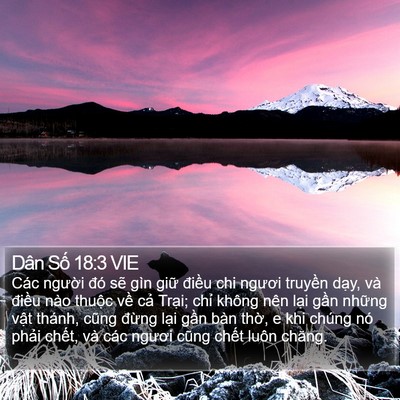Dân Số 18:3 VIE Bible Verse Image