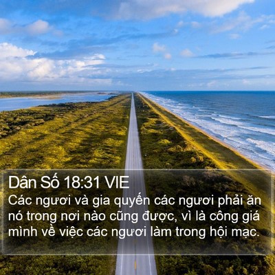 Dân Số 18:31 VIE Bible Verse Image