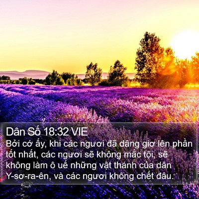 Dân Số 18:32 VIE Bible Verse Image