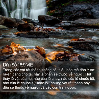 Dân Số 18:9 VIE Bible Verse Image