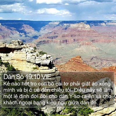 Dân Số 19:10 VIE Bible Verse Image