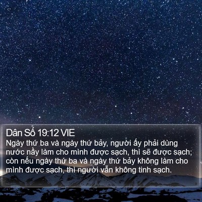 Dân Số 19:12 VIE Bible Verse Image