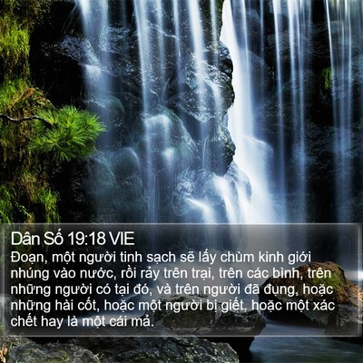 Dân Số 19:18 VIE Bible Verse Image