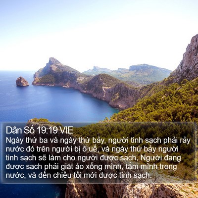Dân Số 19:19 VIE Bible Verse Image