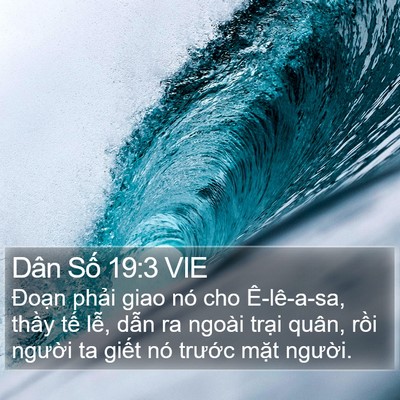 Dân Số 19:3 VIE Bible Verse Image