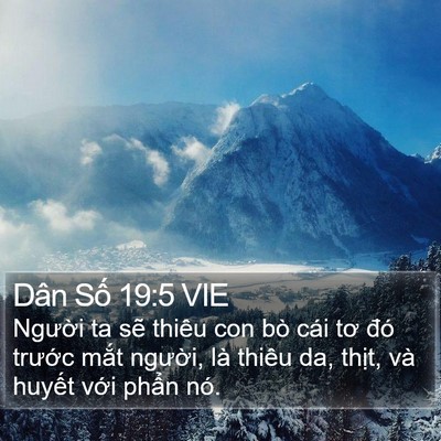 Dân Số 19:5 VIE Bible Verse Image