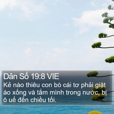 Dân Số 19:8 VIE Bible Verse Image