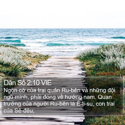 Dân Số 2:10 VIE Bible Verse Image