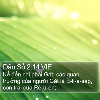 Dân Số 2:14 VIE Bible Verse Image