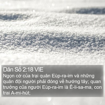 Dân Số 2:18 VIE Bible Verse Image