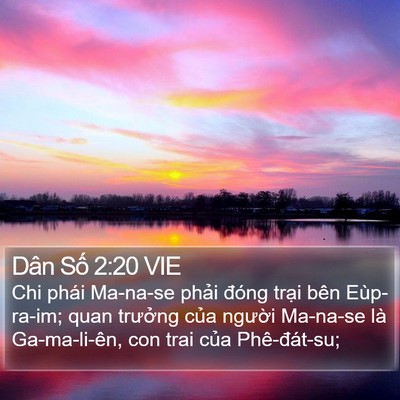 Dân Số 2:20 VIE Bible Verse Image