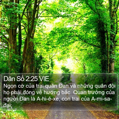 Dân Số 2:25 VIE Bible Verse Image