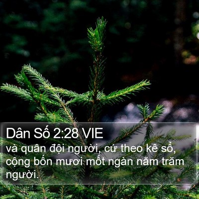 Dân Số 2:28 VIE Bible Verse Image