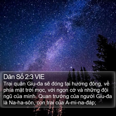 Dân Số 2:3 VIE Bible Verse Image