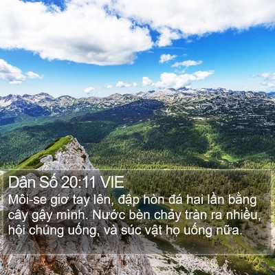 Dân Số 20:11 VIE Bible Verse Image