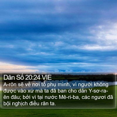 Dân Số 20:24 VIE Bible Verse Image