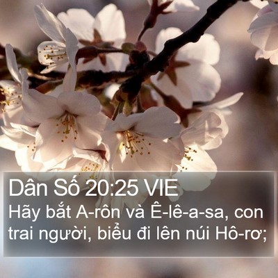 Dân Số 20:25 VIE Bible Verse Image