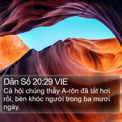 Dân Số 20:29 VIE Bible Verse Image