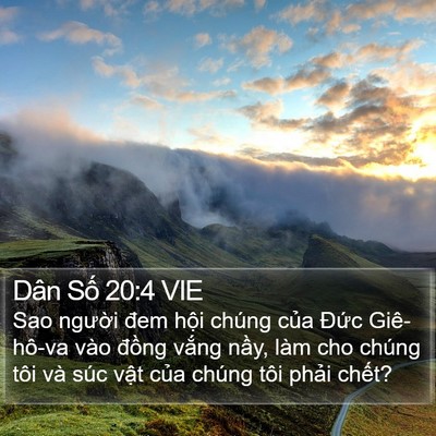 Dân Số 20:4 VIE Bible Verse Image