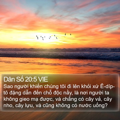 Dân Số 20:5 VIE Bible Verse Image