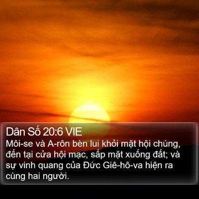 Dân Số 20:6 VIE Bible Verse Image