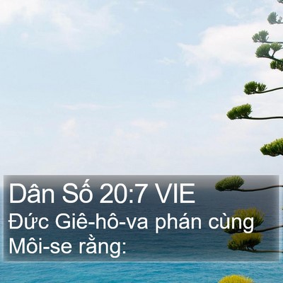Dân Số 20:7 VIE Bible Verse Image