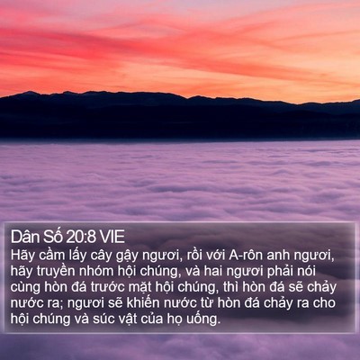 Dân Số 20:8 VIE Bible Verse Image