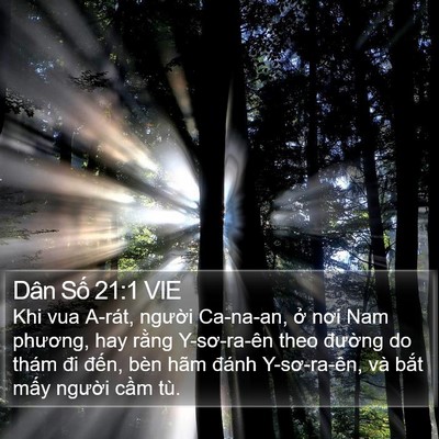 Dân Số 21:1 VIE Bible Verse Image