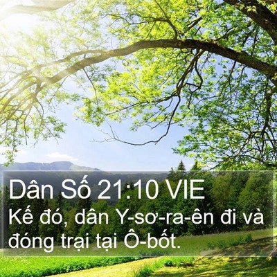 Dân Số 21:10 VIE Bible Verse Image
