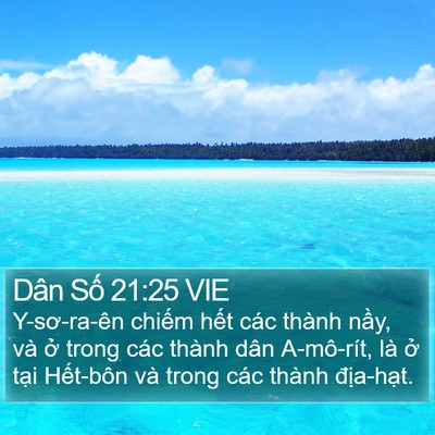 Dân Số 21:25 VIE Bible Verse Image