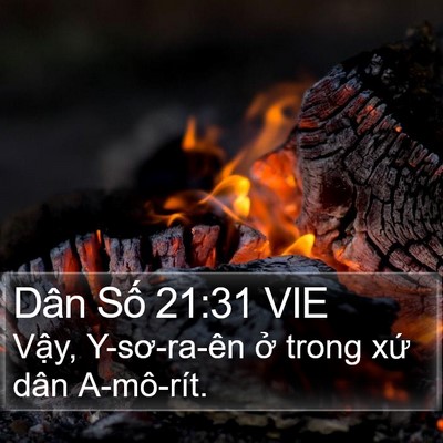 Dân Số 21:31 VIE Bible Verse Image