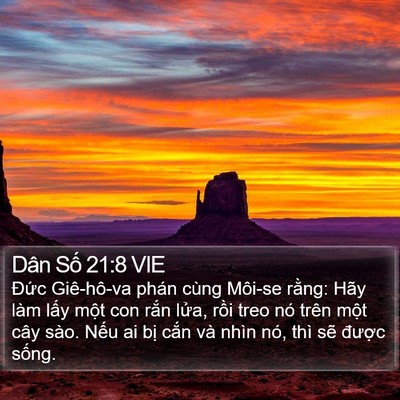 Dân Số 21:8 VIE Bible Verse Image