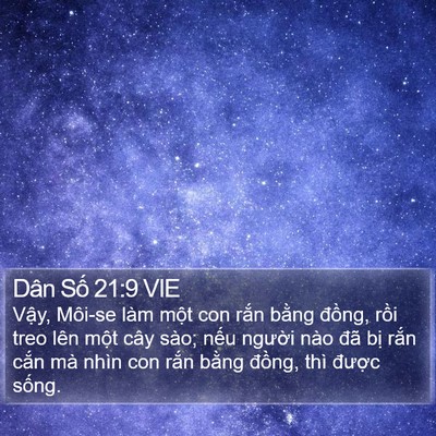 Dân Số 21:9 VIE Bible Verse Image