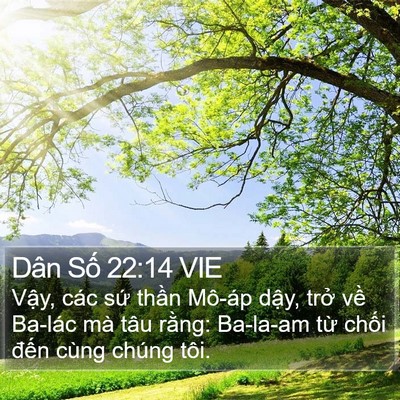 Dân Số 22:14 VIE Bible Verse Image