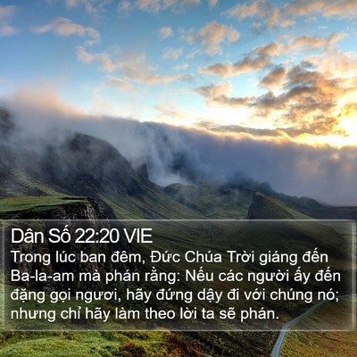 Dân Số 22:20 VIE Bible Verse Image