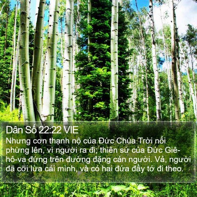 Dân Số 22:22 VIE Bible Verse Image